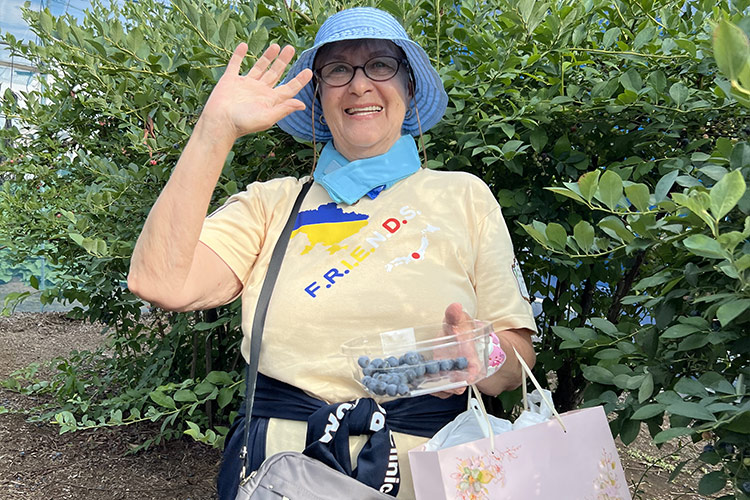 ブルーベリー狩り