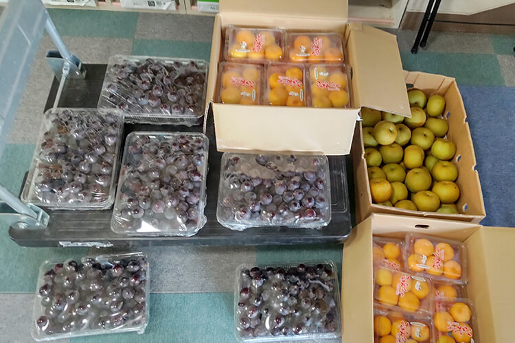 季節のフルーツ